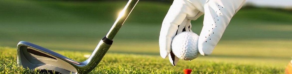 Rock Hill Golf Club