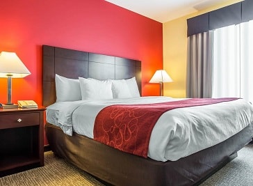 Comfort Suites in Rock Hill